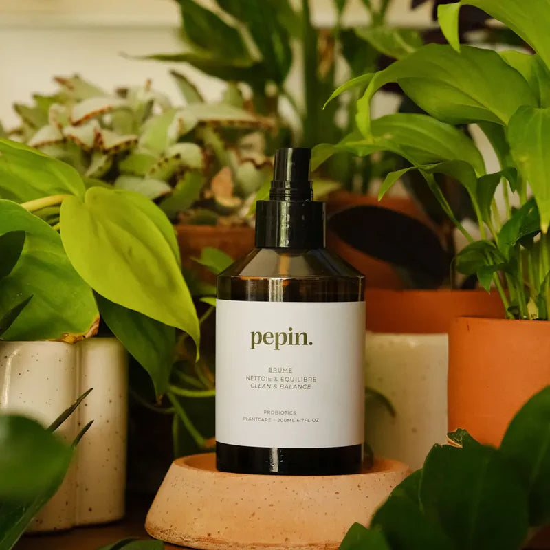 Brume, Plantepleje Til Balance & Vækst - Cleaning Mist
