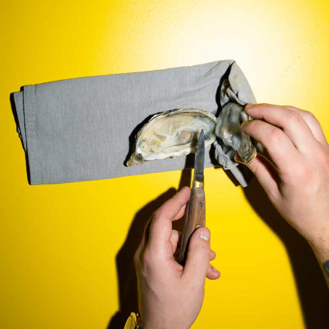 Pink Oyster er en skøn kogebog og coffee table book om østers lavet af Jonas Harboe - en dansk mesterkok!
