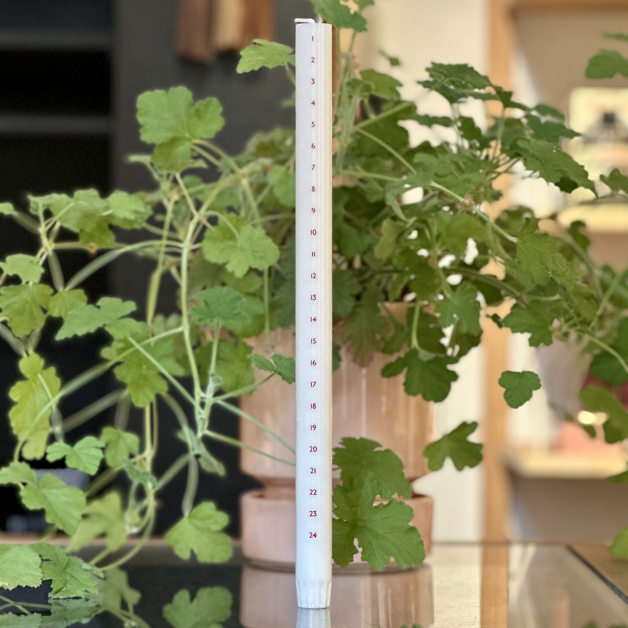 Soya Kalenderlys - Rød