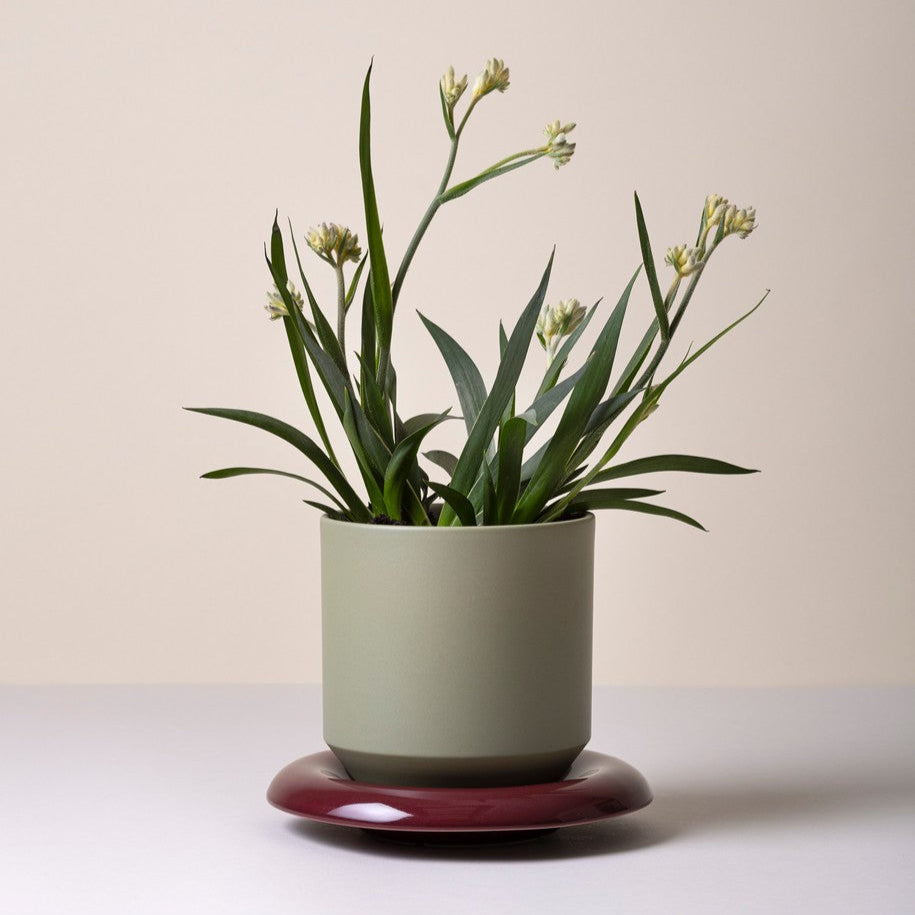 Lily Saucer - Glaseret Underskål - Burgundy