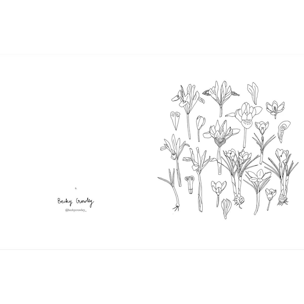 Poetisk malebog med blomster, farver og dekorative detaljer