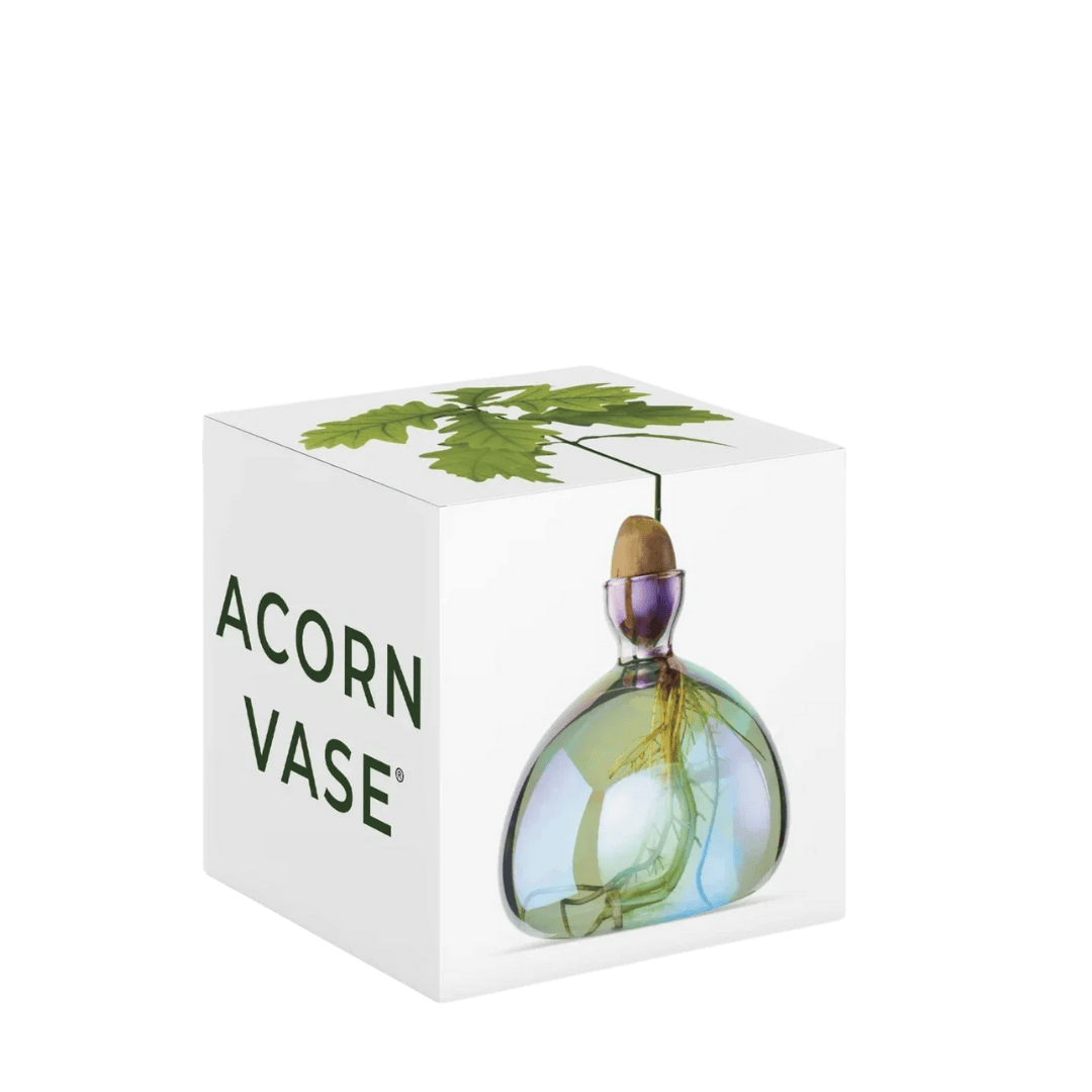 Agern Vase - Cosmic Lyra