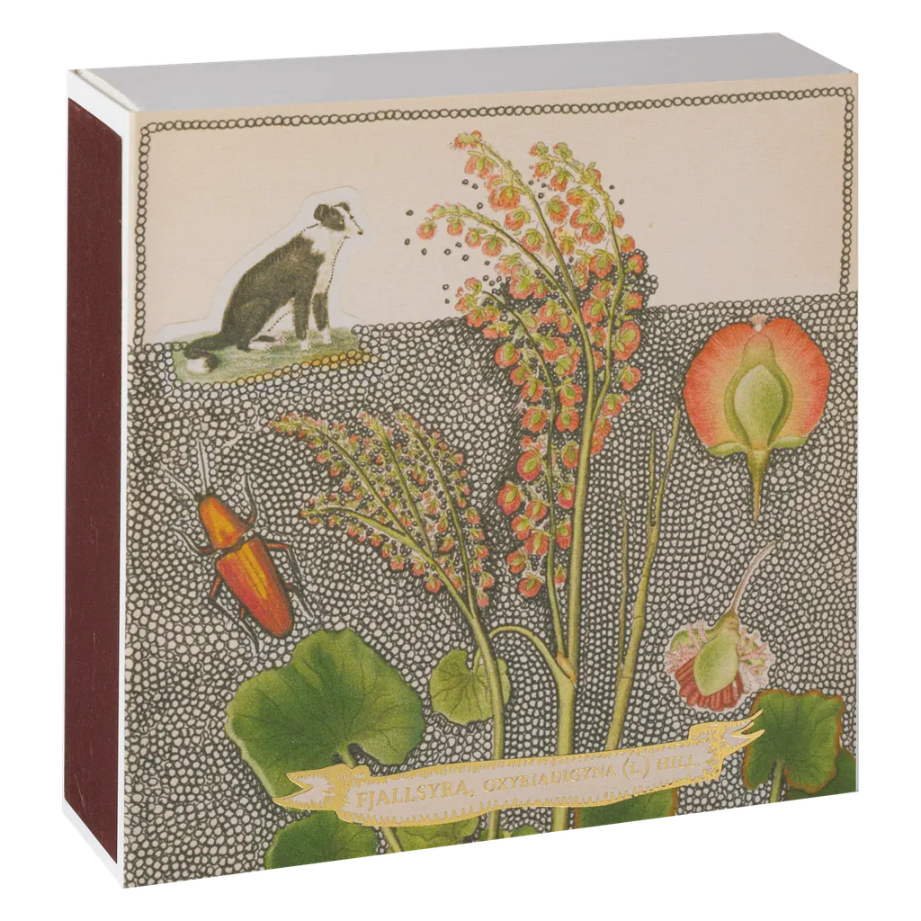 Chien botanical drawning matches - luksus tændstikker - smuk billede på forsiden
