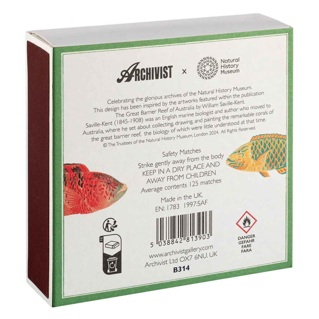 Store tændstikker fra Archivist gallery