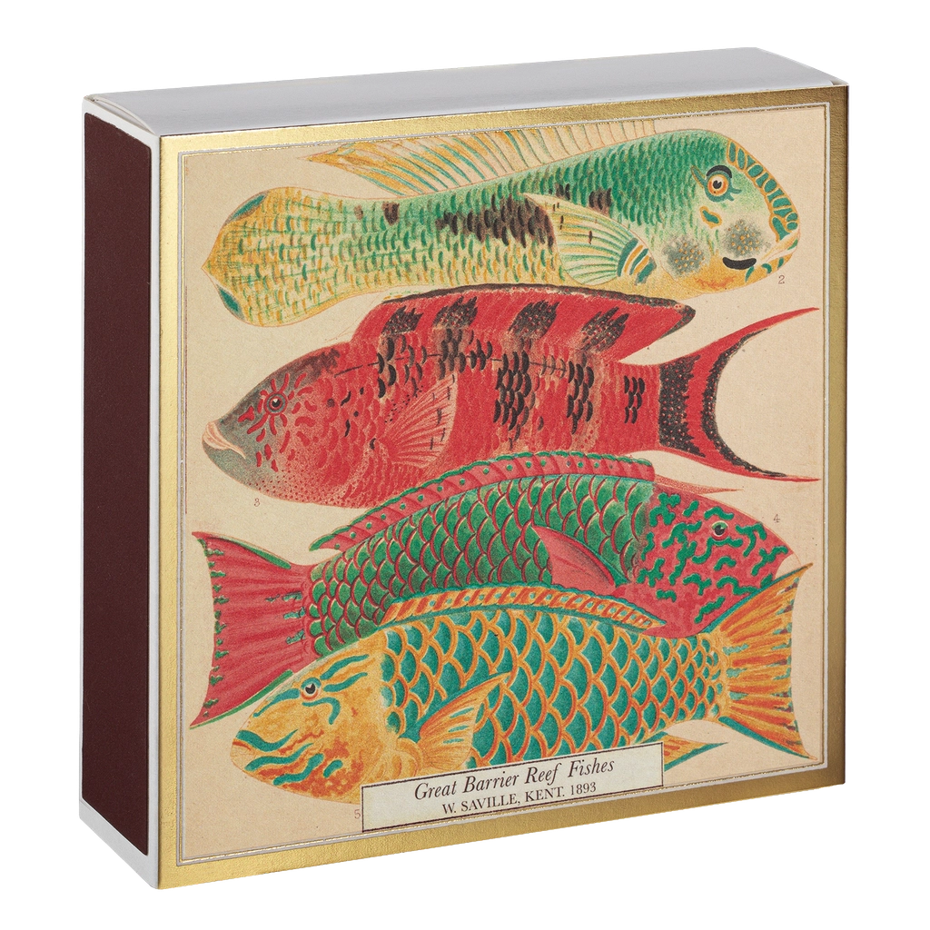 10 cm lange tændstikker - med billede af fisk på forsiden