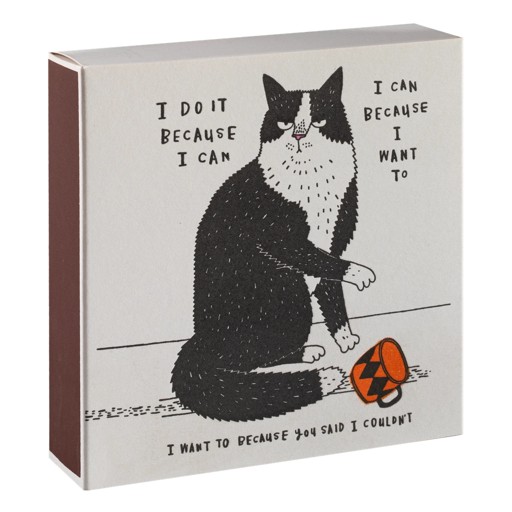 Tændstikker - I Do It Because I Can