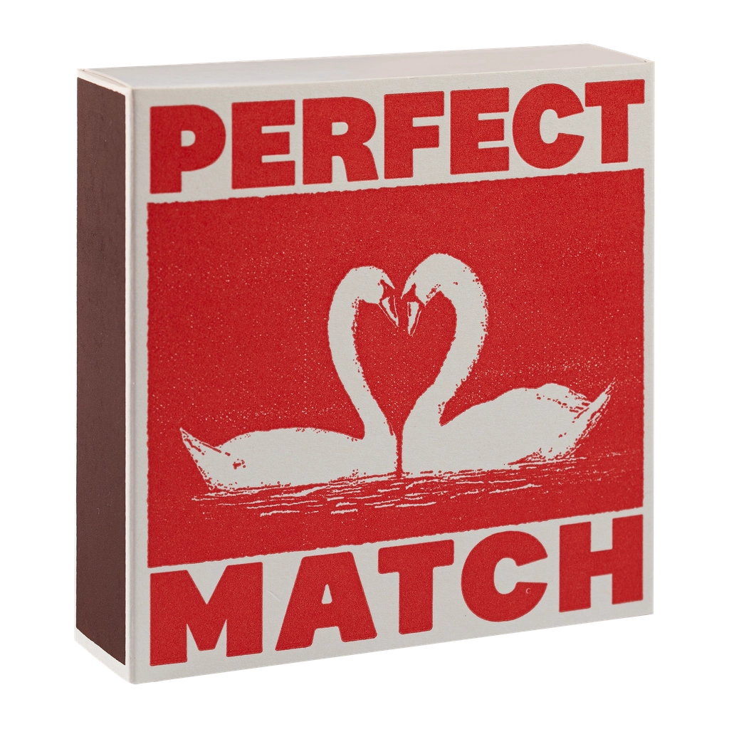 Tændstikker - I Like You Swans