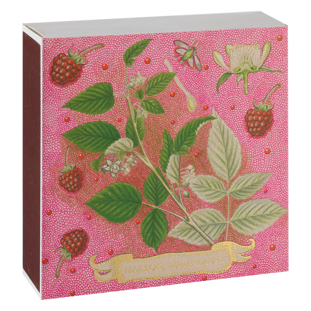 Tændstikker fra Archivist gallery - store luksus tændstikker - 10 cm lange