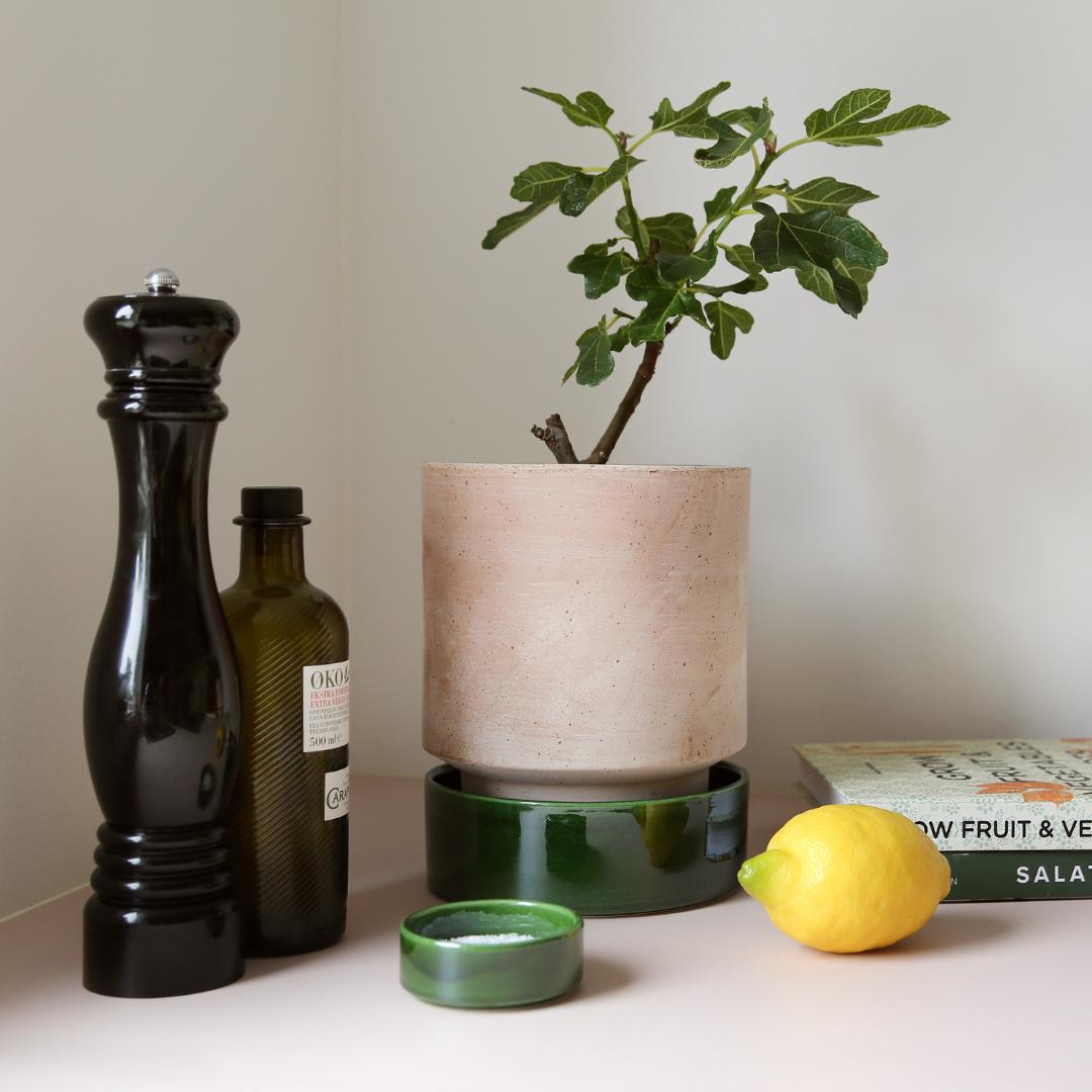 The Hoff Pot - Urtepotte - Raw Rose