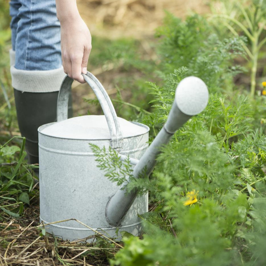 Vandkande - 10 l. - Grå