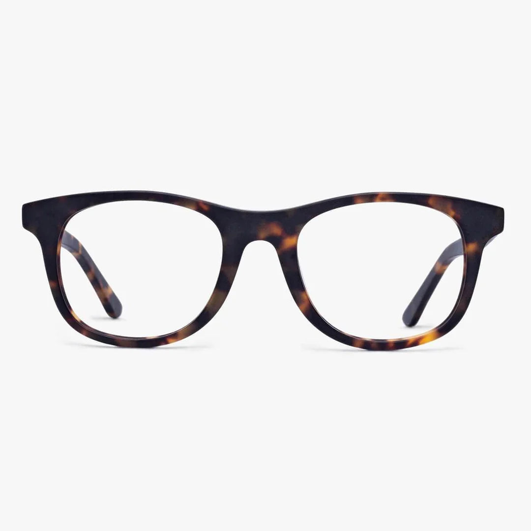 Malmö Læsebrille - Dark Turtle