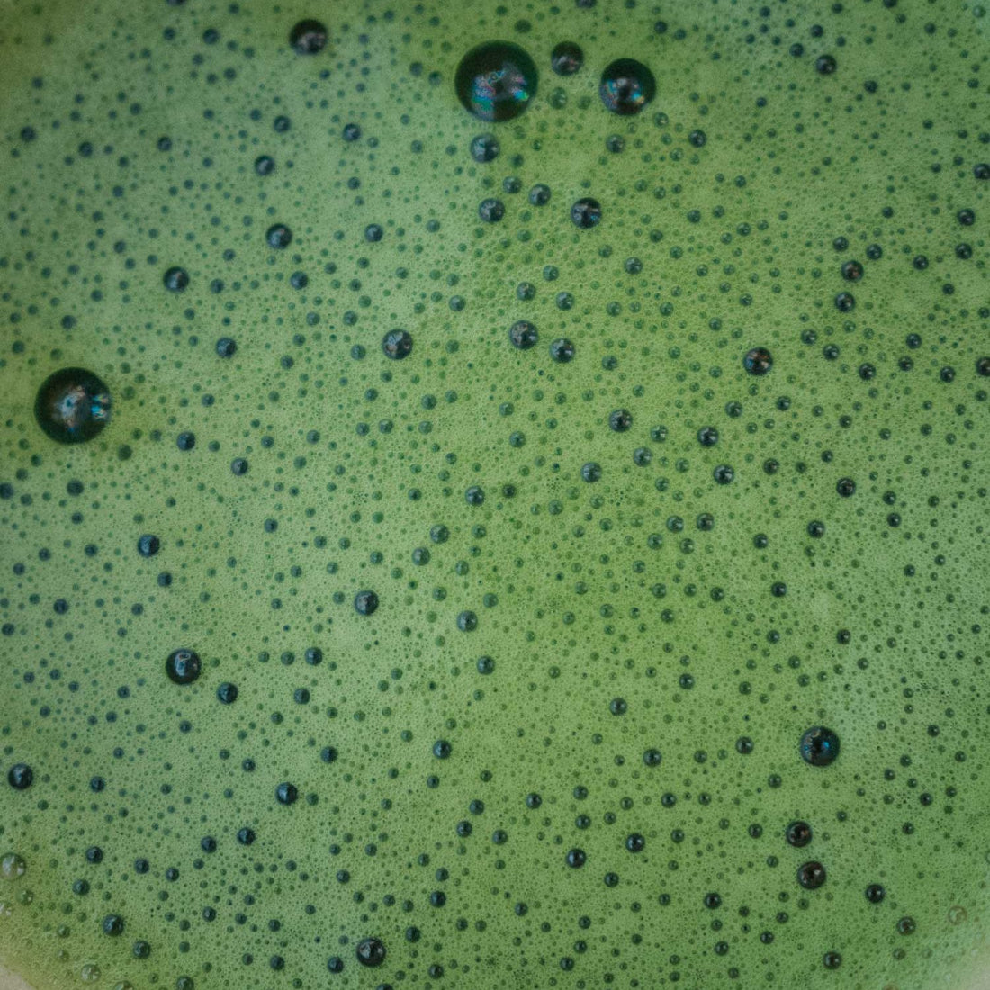 Økologisk Matcha