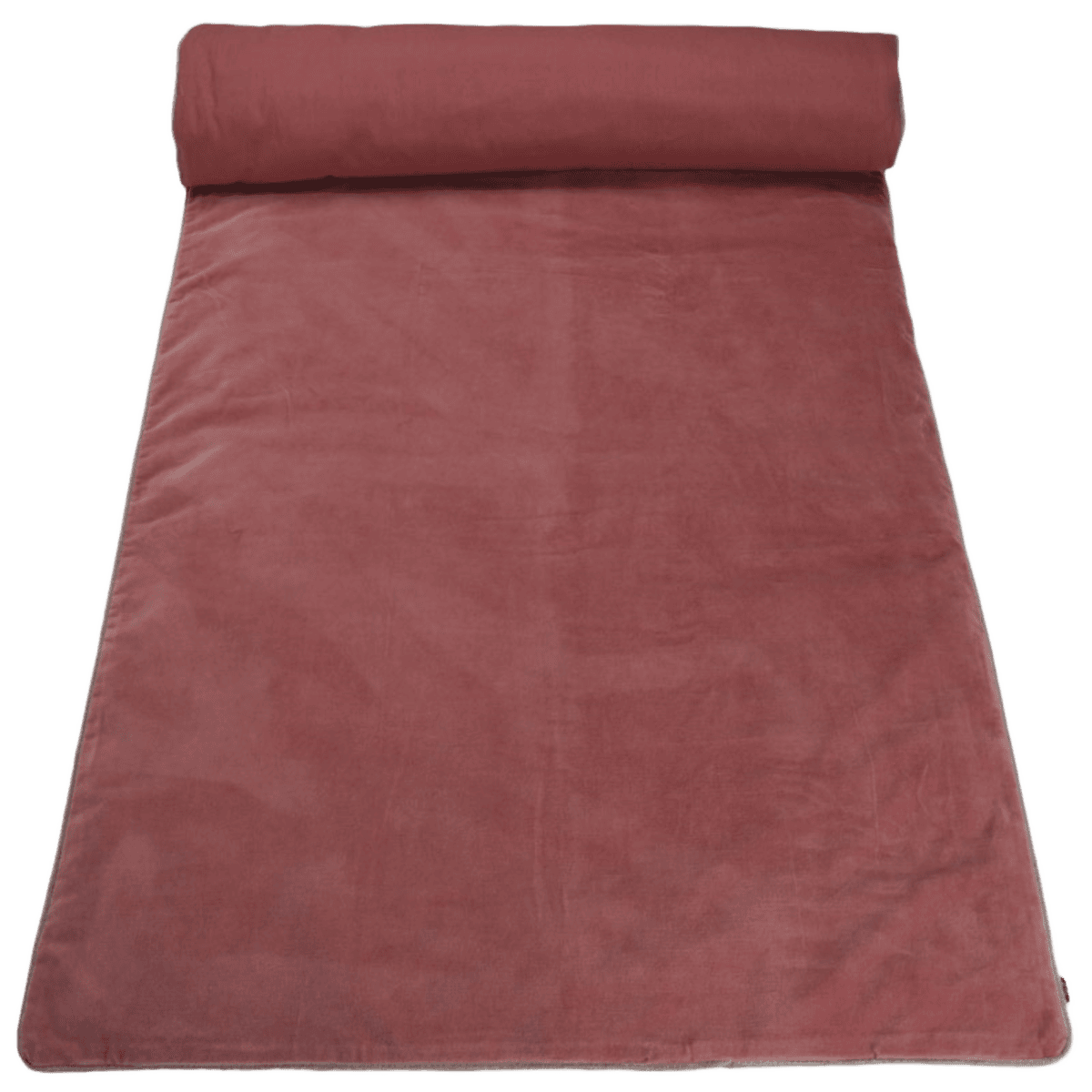 Rosa madras