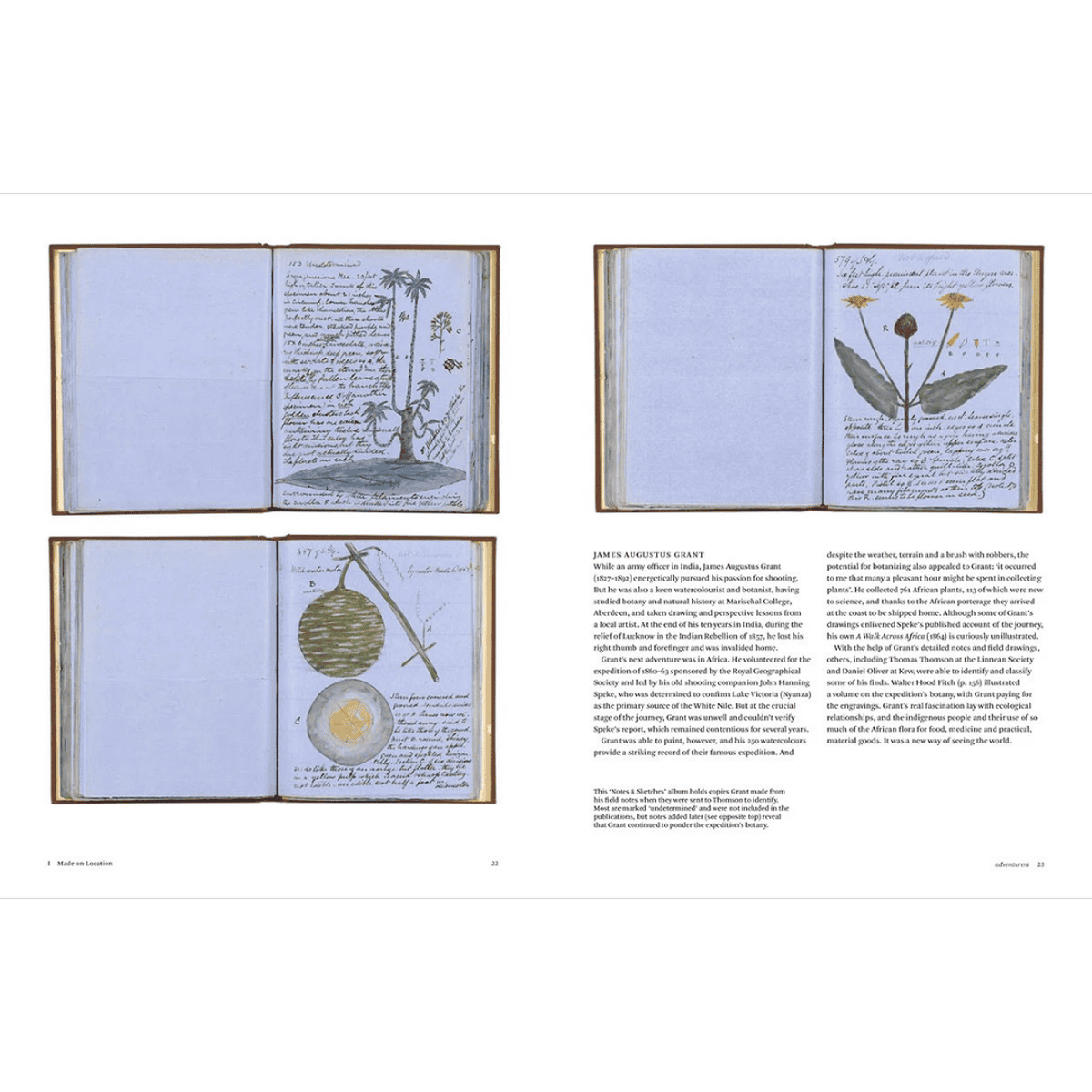 New Mags Botanical Sketchbooks er en smuk tegnebog med fokus på planter og botanik