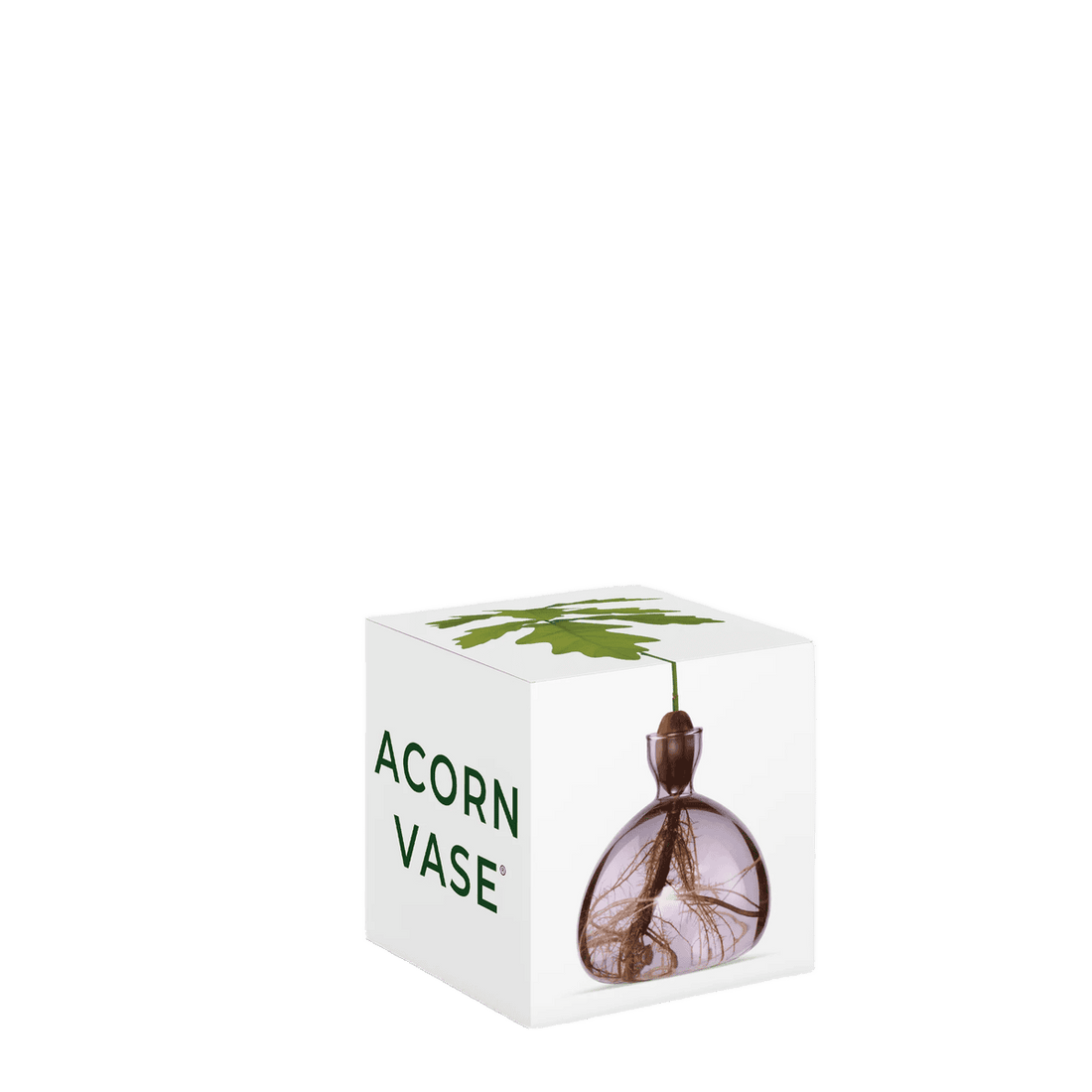 Agern vase fra ILEX STUDIO i farven &