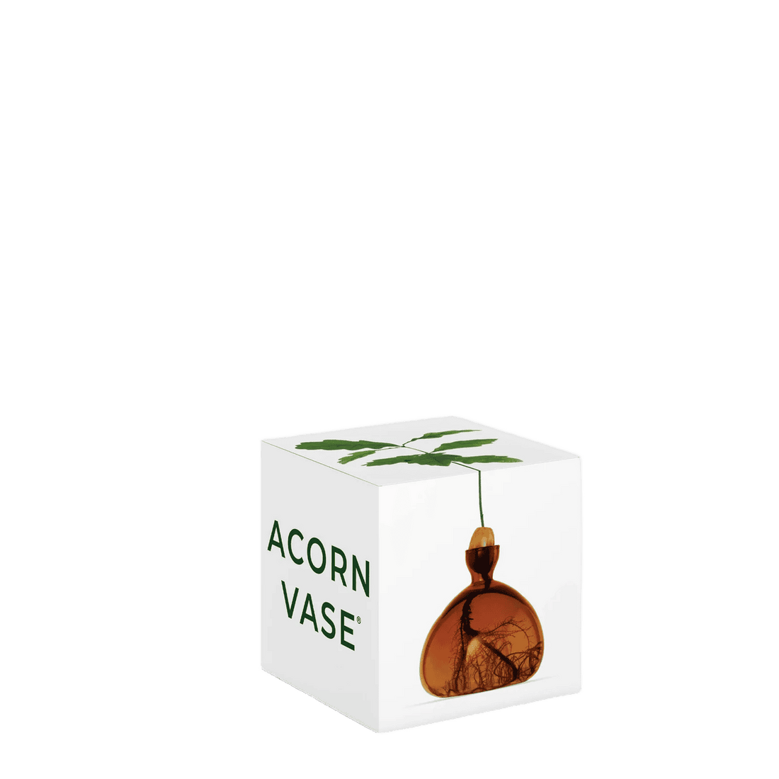 Agern vase fra ILEX STUDIO i farven &