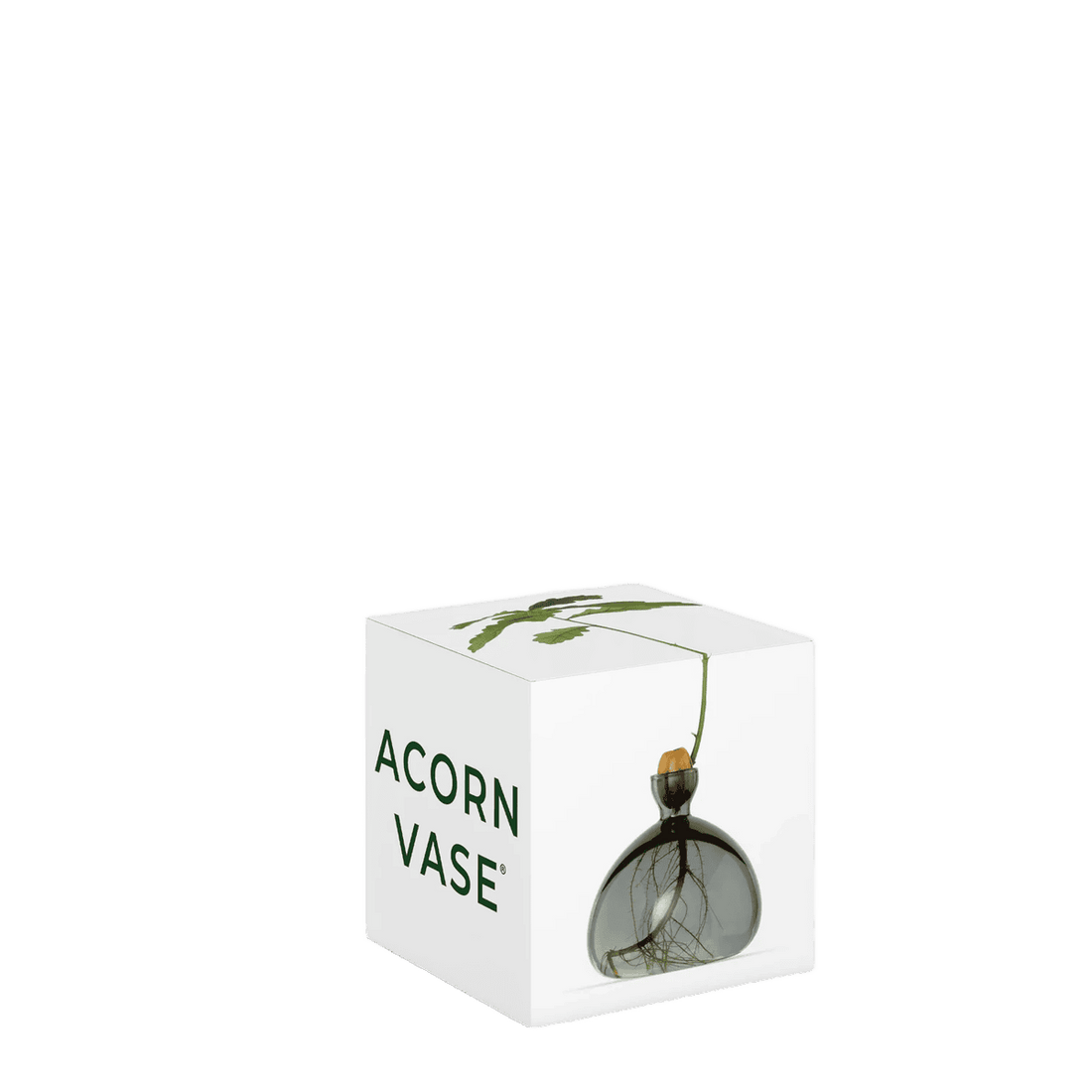 Agern vase fra ILEX STUDIO i farven &