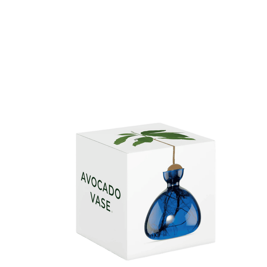 Agern vase fra ILEX STUDIO i farven &