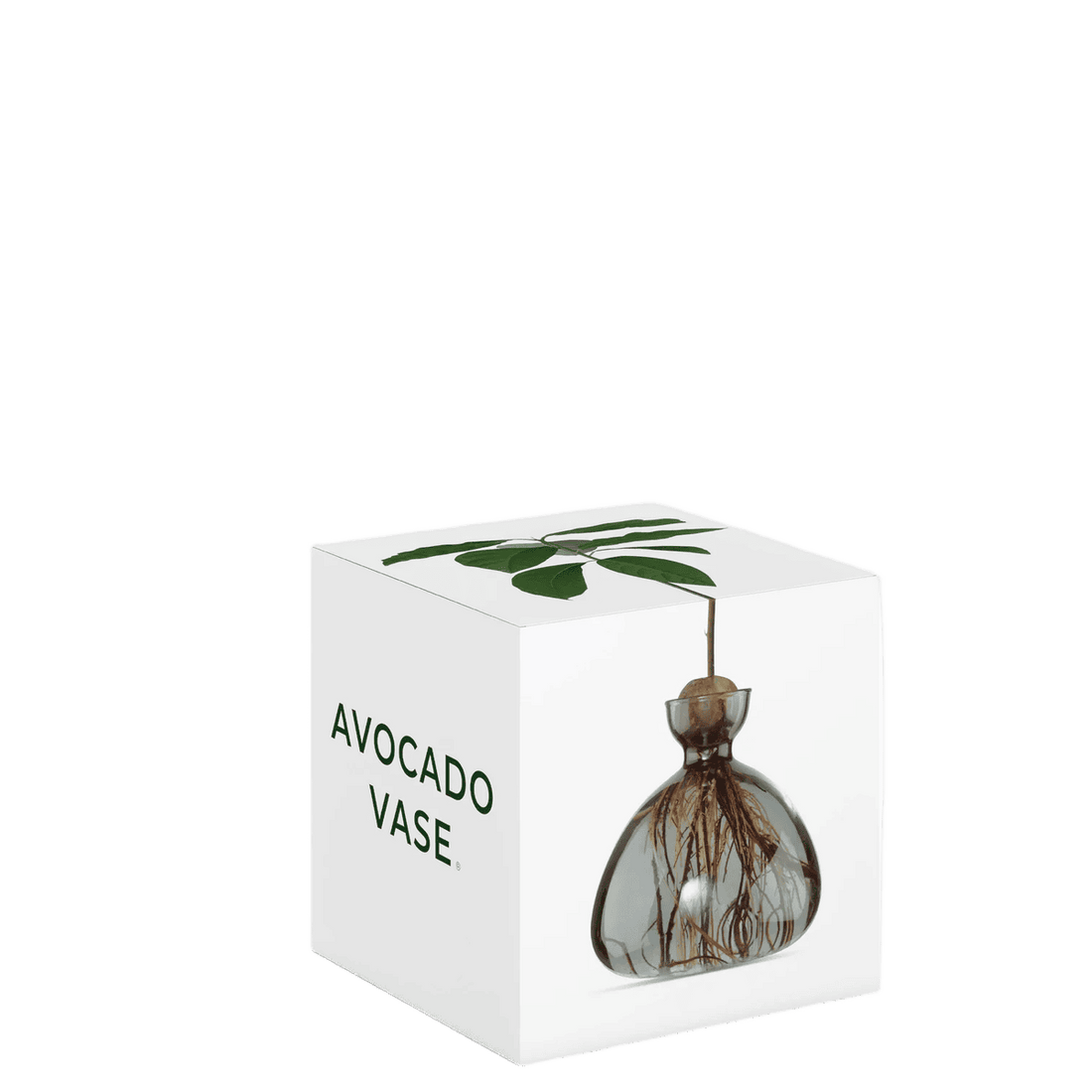 Avocado vase fra ILEX STUDIO i farven &