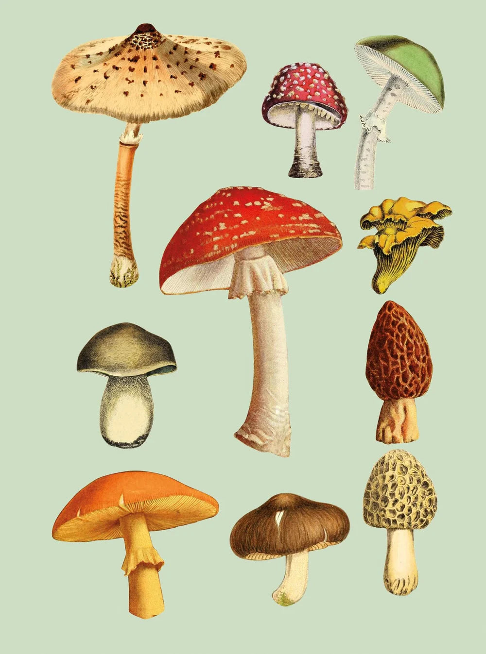 Antiquarian Sticker Book er en bog fyldt med smukke klistermærker. Den er perfekt til den der elsker at lave scrapbooks, kunstelskeren eller til enhver, der bare elsker klistermærker. Bogen inderholder nemlig tusindvis af flotte klistermærker!