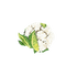 En broche med motiv af en blomkål