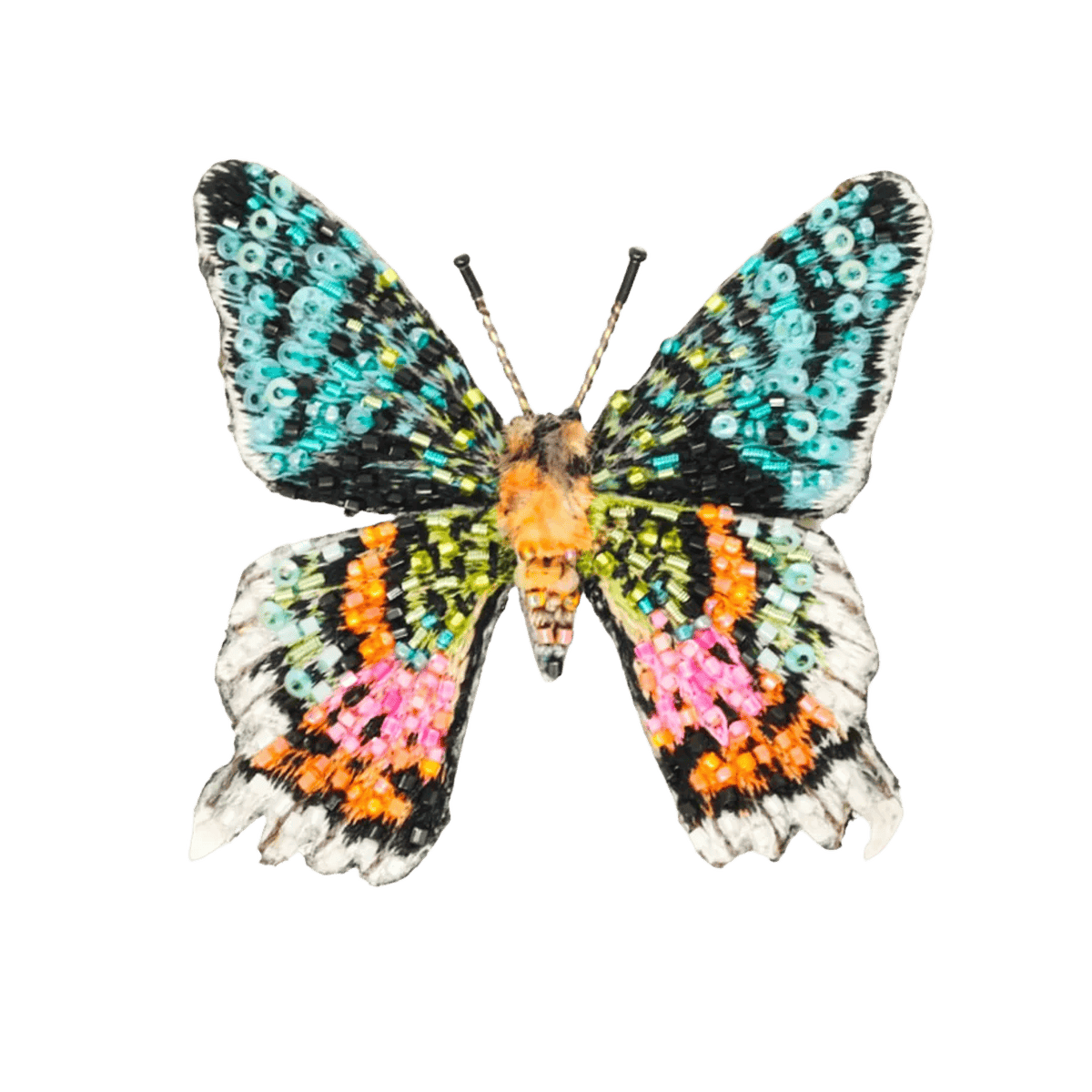 Broche - Madagascar Sunset Moth