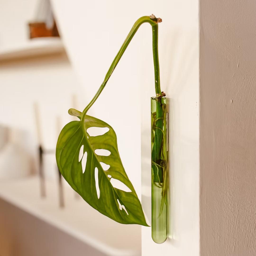 WallLeaf vægvase i grønt glas med magnetisk montering til stiklinger og blomster