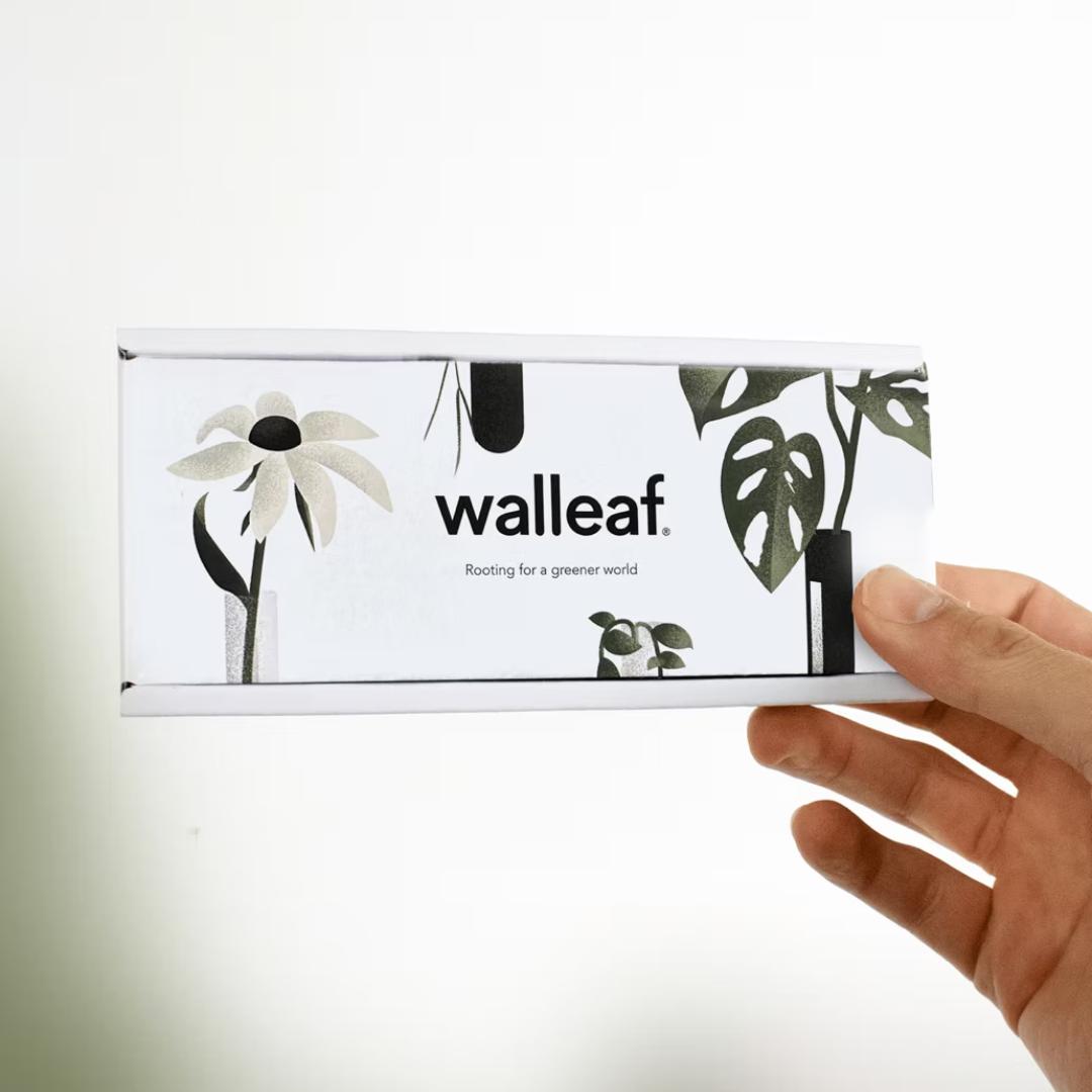 Her ses pakken, hvor der medfølger én wallleaf