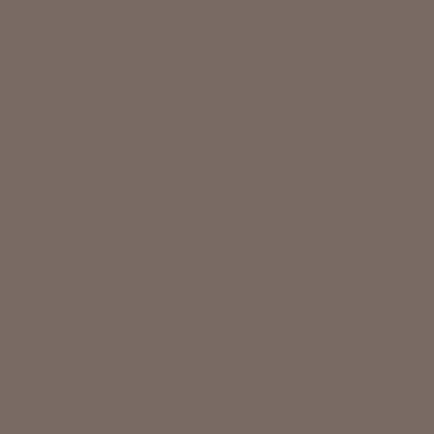 Seoul Skjorte - WOOL BLEND - Walnut