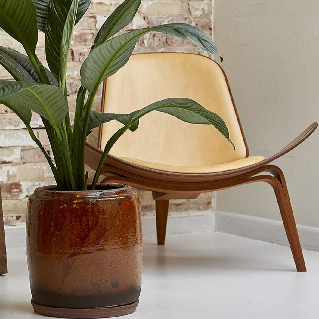 Brun Berit Krukke, Brun, Stor