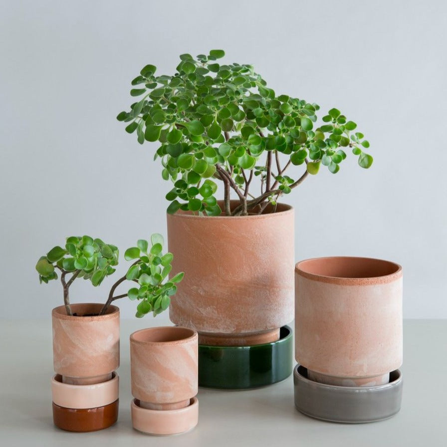 Underskål i terracotta farve, der passer til The Hoff Pot. Hver underskål er lavet i hånden med præcision og dygtighed, for et optimalt og elegant resultat. Mix og match præcis som du vil - du vælger blot samme størrelse i underskål som potte.