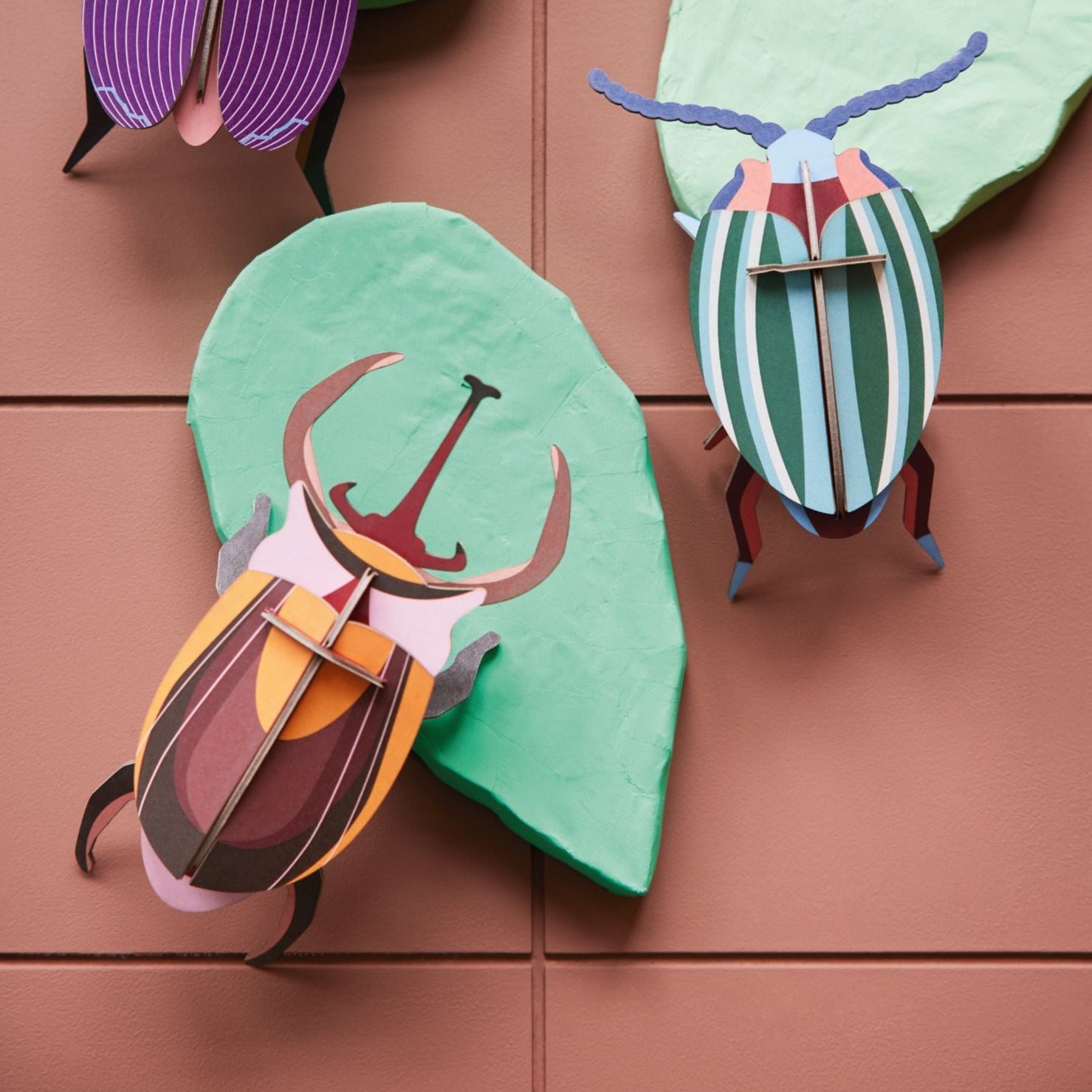 Studio roof, elephant beetle