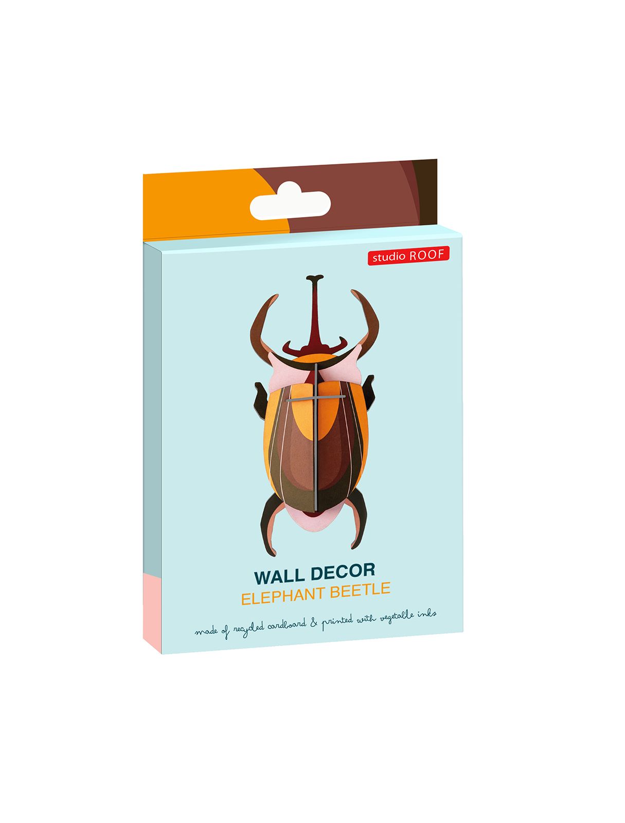 Studio roof, elephant beetle
