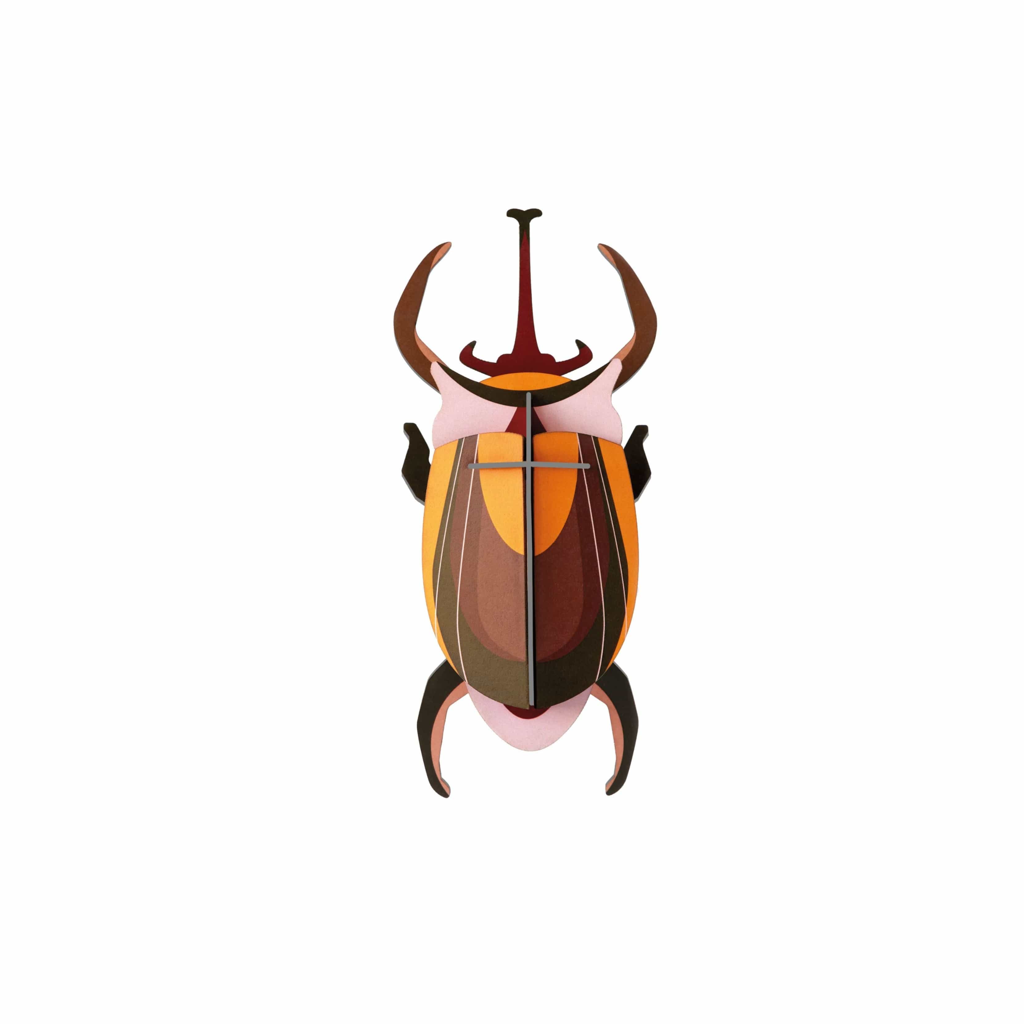 Elephant beetle, studio roof