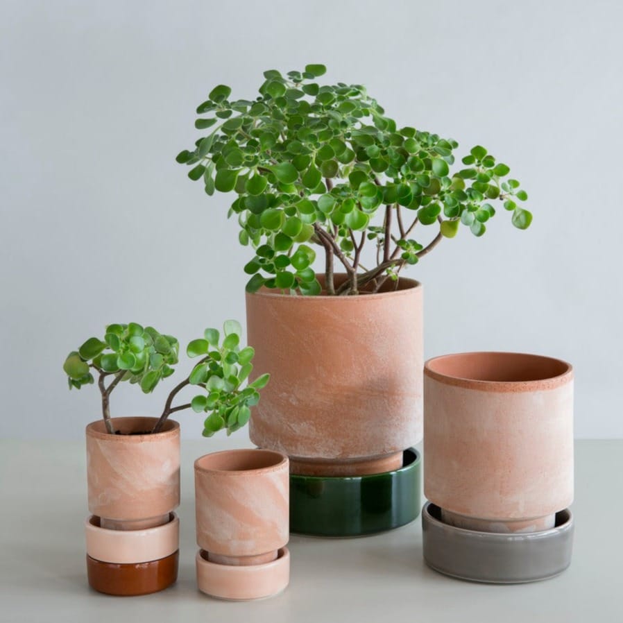 Saucer - Emerald Green - Bergs Potter i de små størrelser