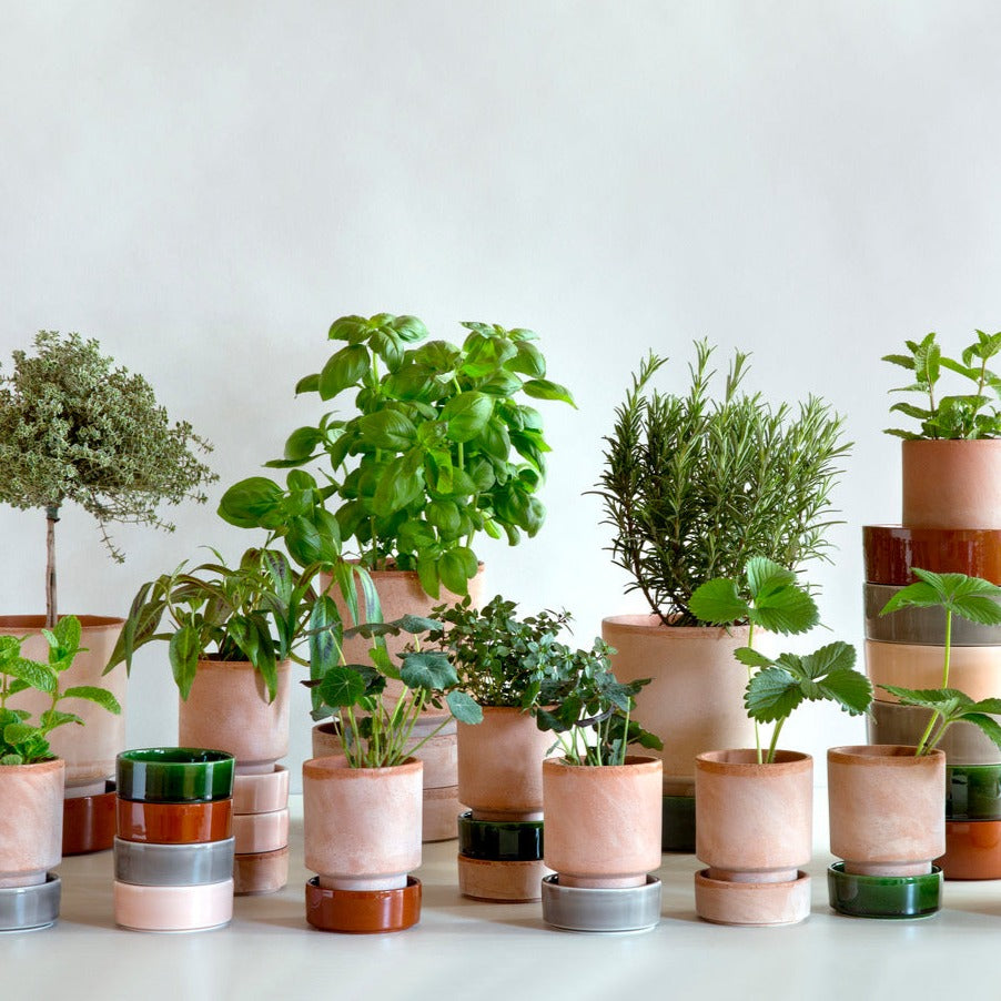 Rå terracotta urtepotter med glaserede underskåle fra Bergs Potter, Hoff Collection