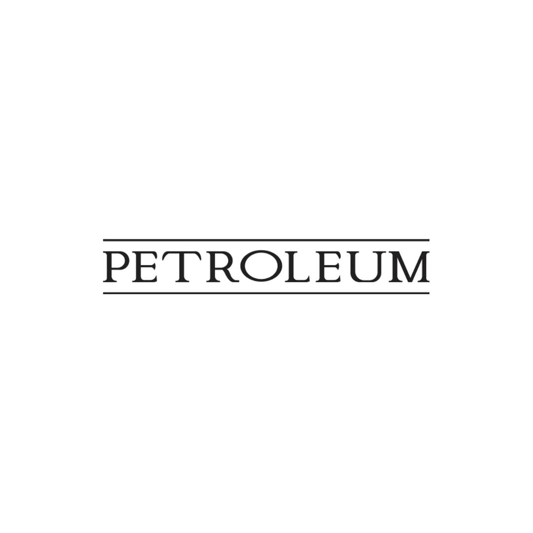 Petroleum Studio