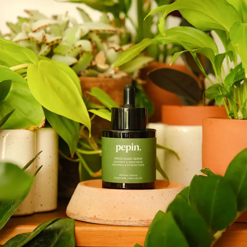 Houseplant Serum, Naturlig Plantegødning Til Stueplanter - Stueplanteserum