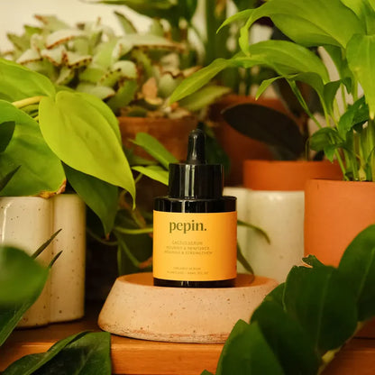 Cactus Serum, Naturlig Gødning Til Kaktuser &amp; Sukkulenter - Kaktus Serum
