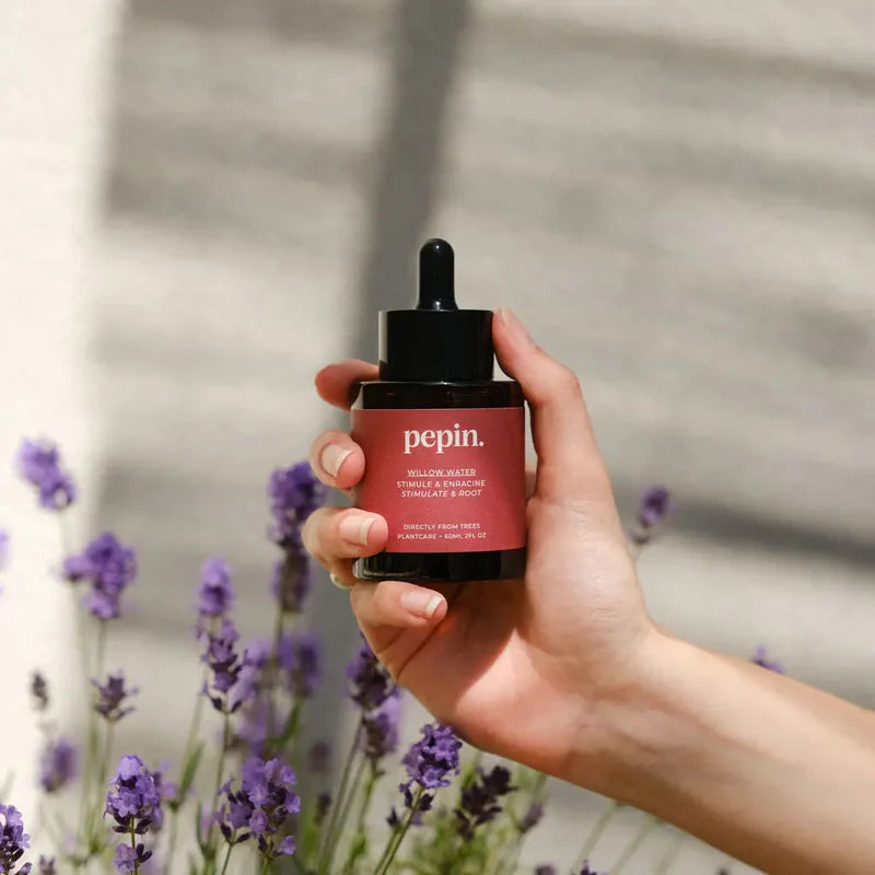 Willow Water, Plantepleje Til Rødder - Pilevand