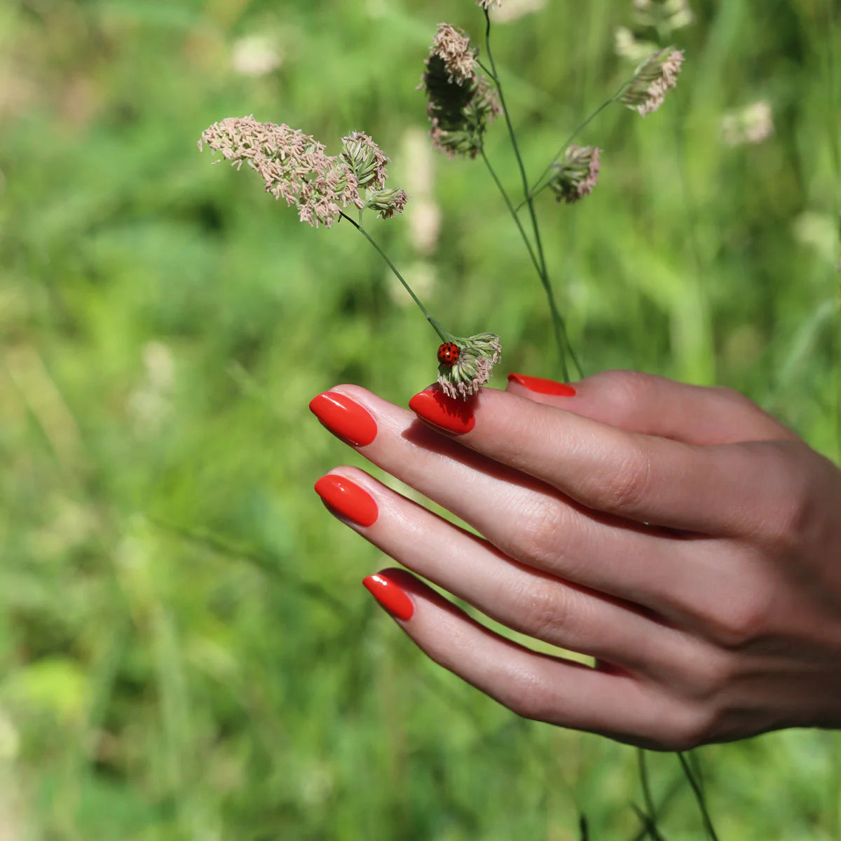 Vegansk neglelak fra Manucurist Paris i farven &