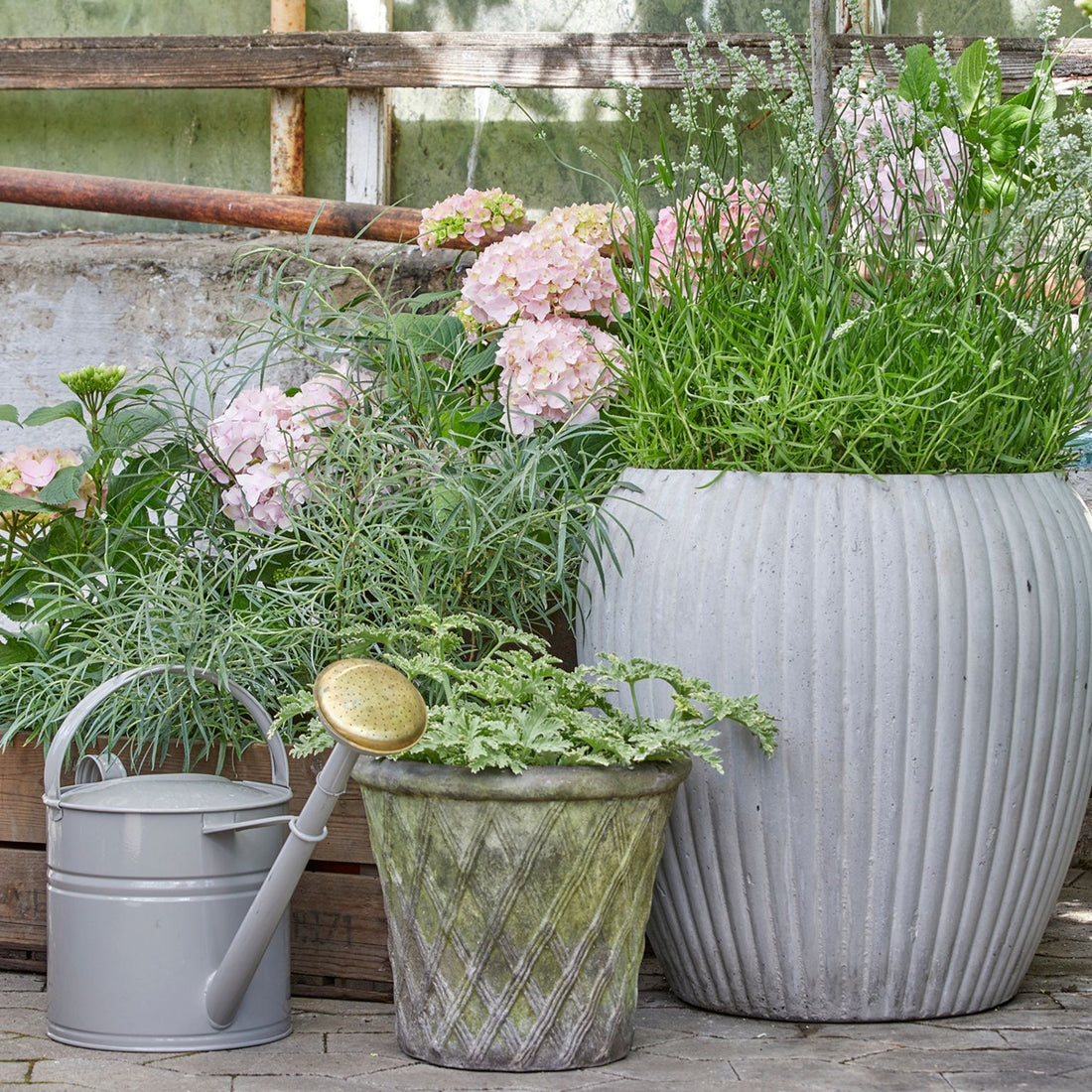 Grå vandkande i metal fra B-green. Perfekt til vanding både ude og inde