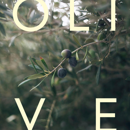 Shower Gel - Olivenolie &amp; Lavendel