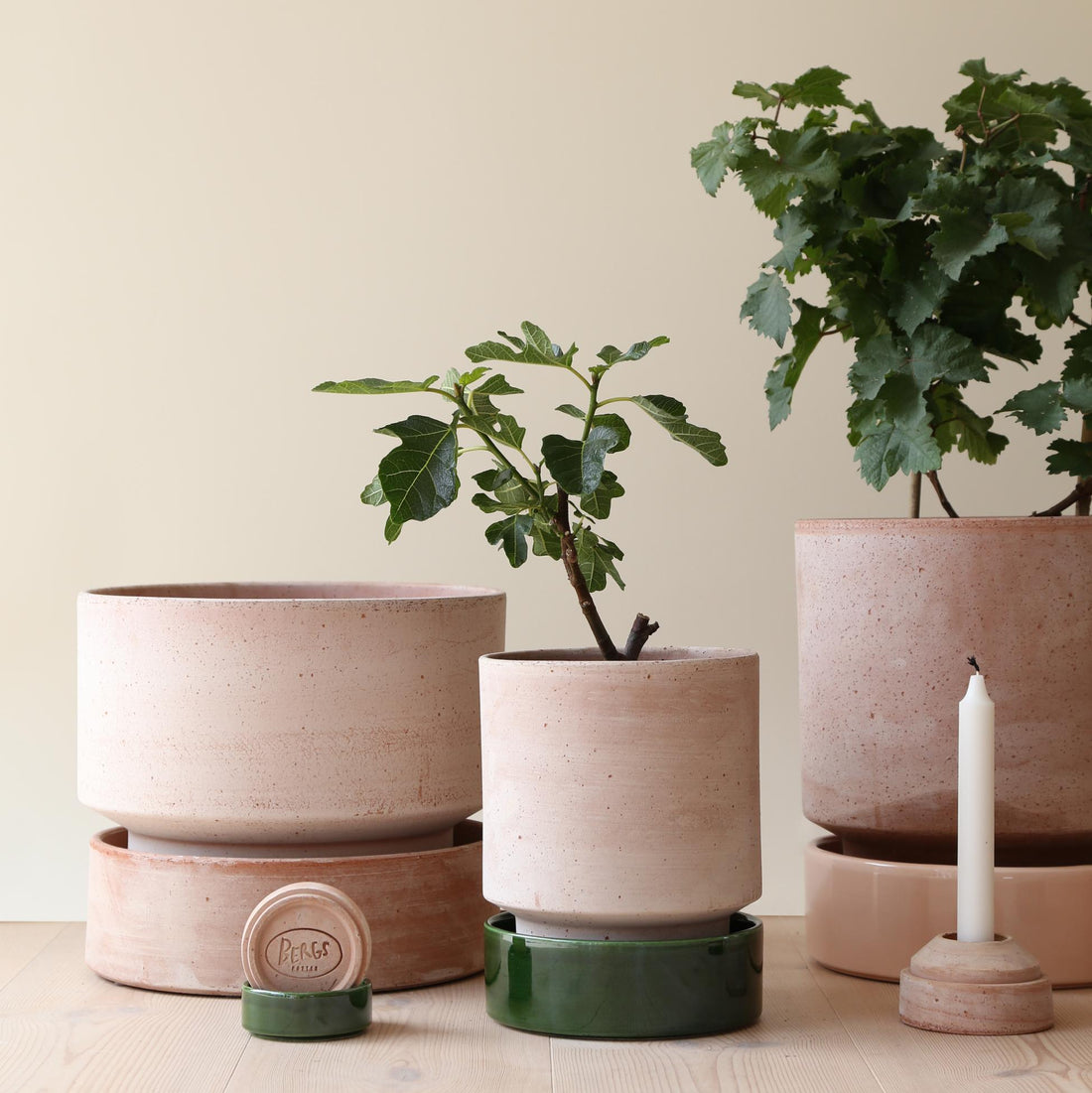 Bergs Potter i Raw Rose 