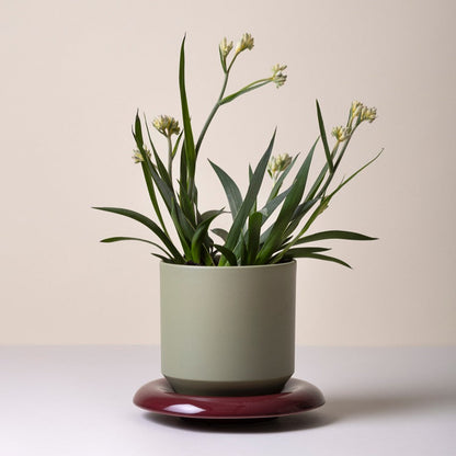 Lily Pot - Glaseret Urtepotte - Sage Green