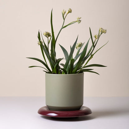 Lily Saucer - Glaseret Underskål - Burgundy