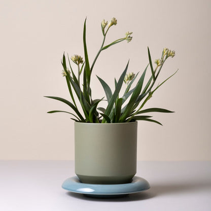 Lily Pot - Glaseret Urtepotte - Sage Green