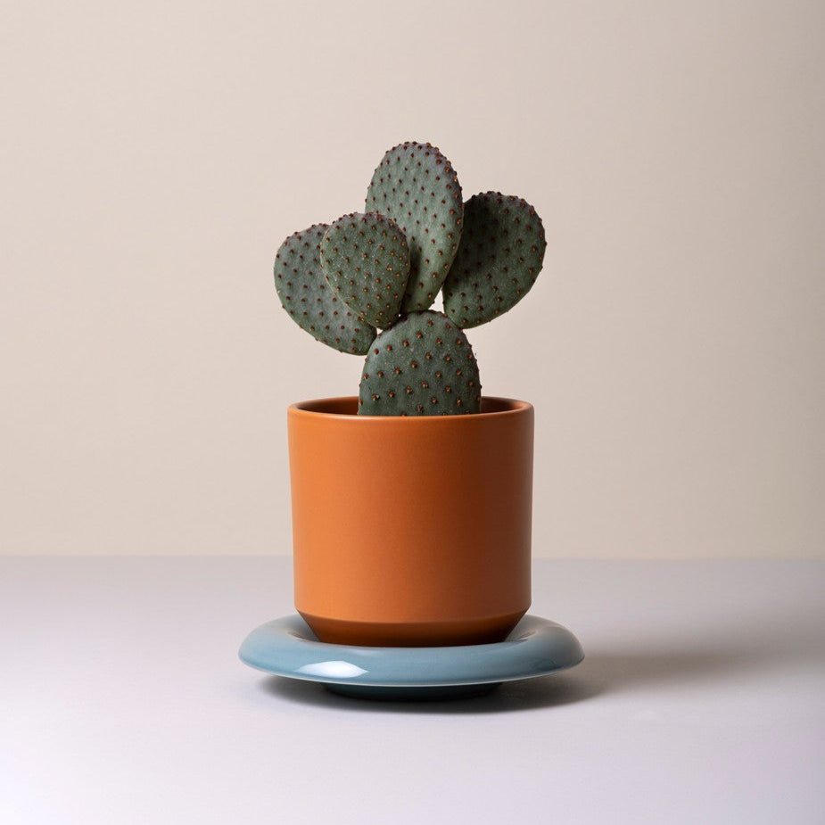 Lily Pot - Glaseret Urtepotte - Tangerine Orange