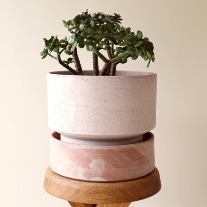 Raw Rose Low Pot fra Bergs Potter. 