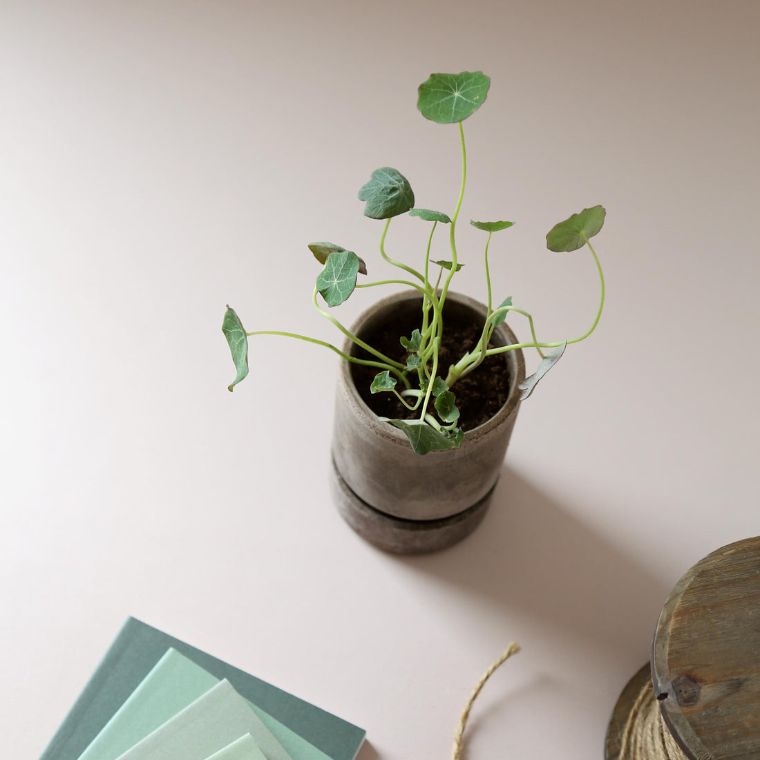 The Hoff Pot. Hver del er lavet i hånden med præcision og dygtighed, for et optimalt og elegant resultat. Mix og match præcis som du vil - du vælger blot samme størrelse i underskål som potte